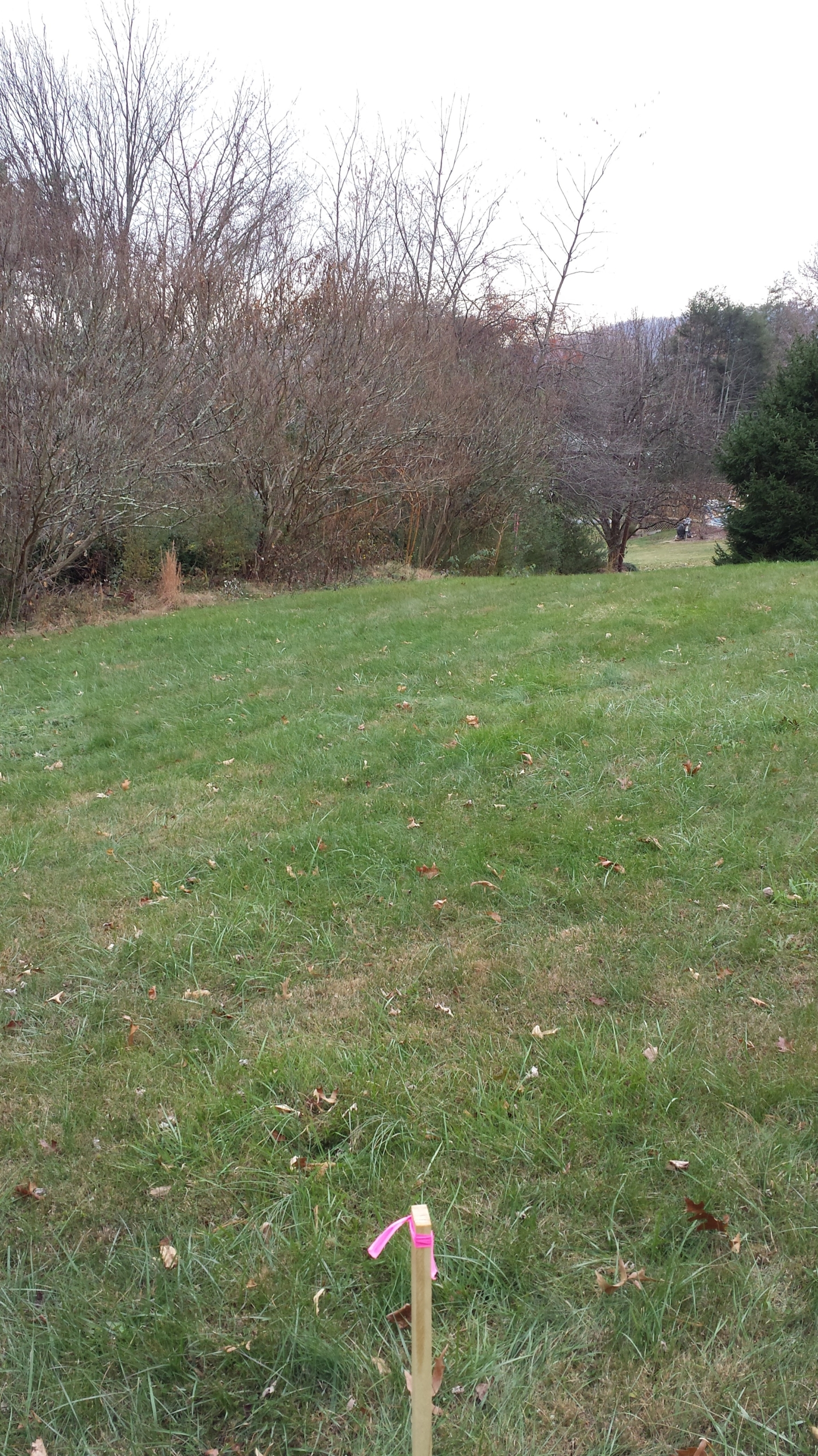 Mountain Realty Builders construction photo 30