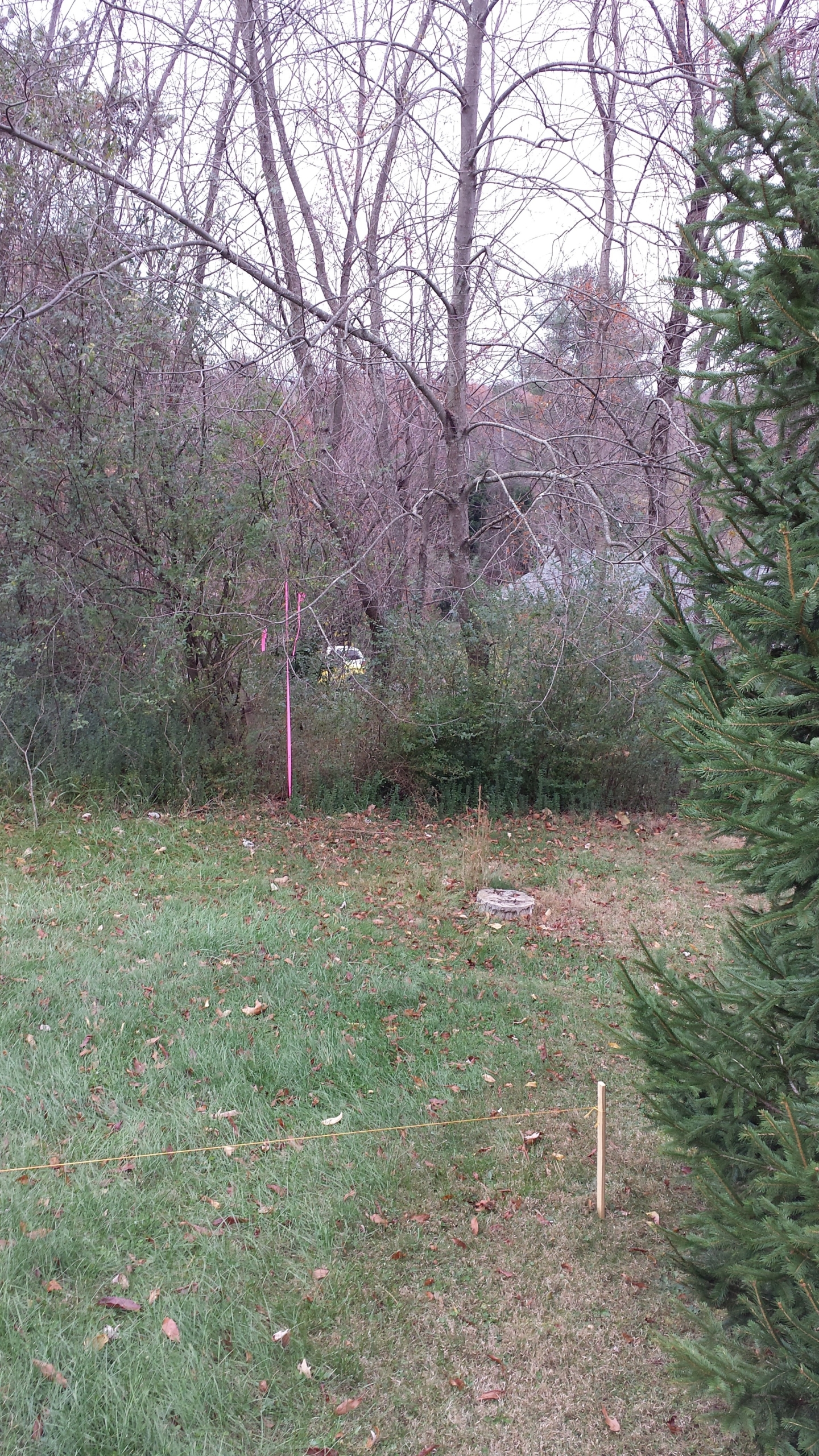 Mountain Realty Builders construction photo 35