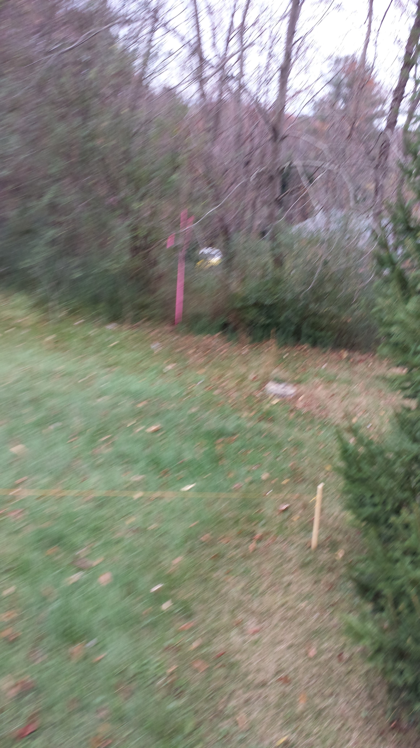 Mountain Realty Builders construction photo 36