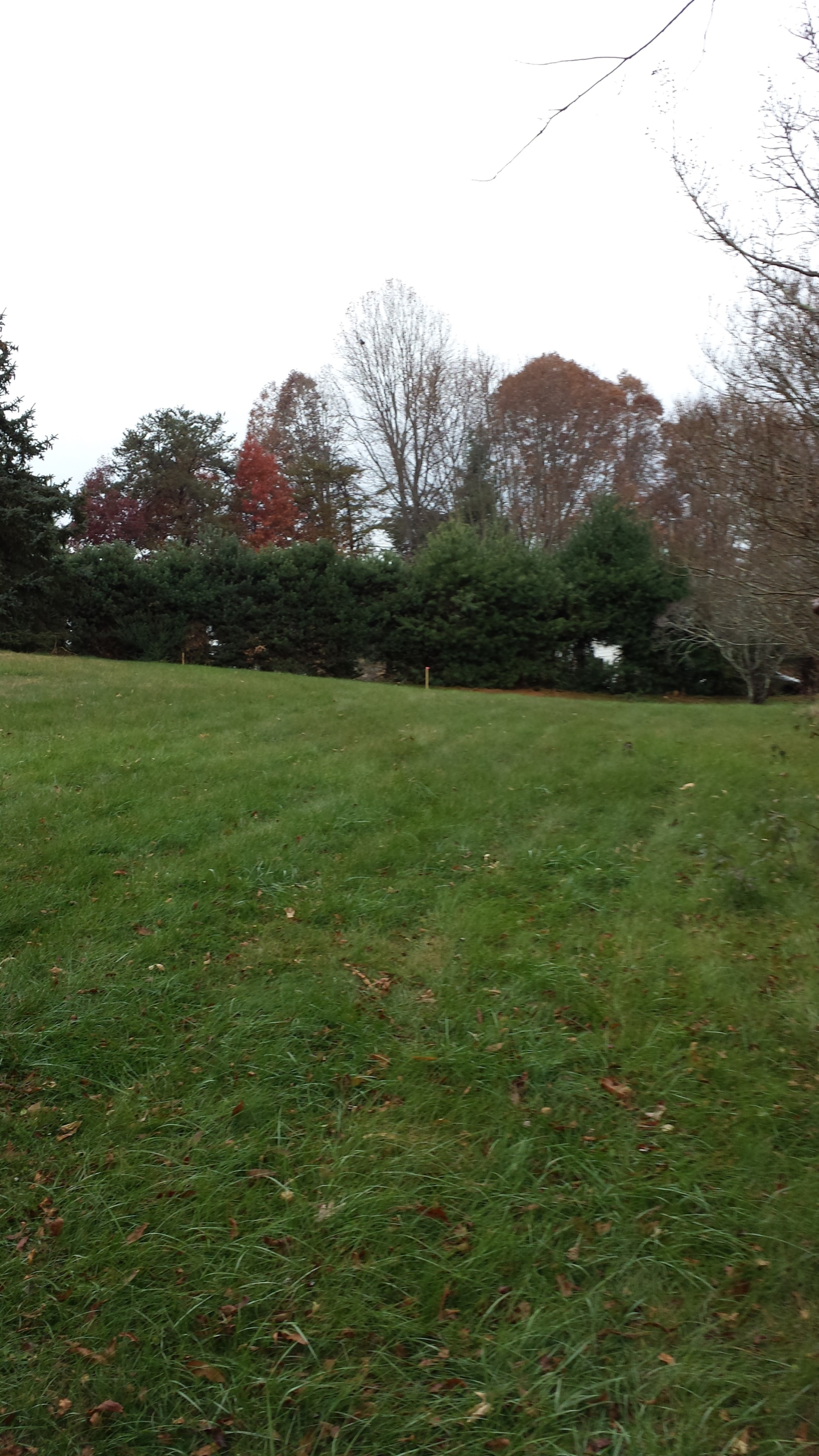 Mountain Realty Builders construction photo 39